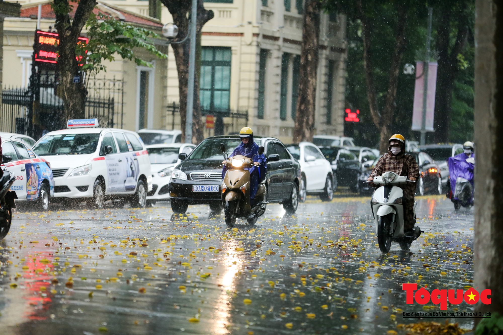 Cơn mưa lớn bất trợt khiến không khí ở thủ đô Hà Nội giảm bụi ô nhiễm nhanh chóng4 Cơn mưa lớn bất trợt khiến không khí ở thủ đô Hà Nội giảm bụi ô nhiễm nhanh chóng4