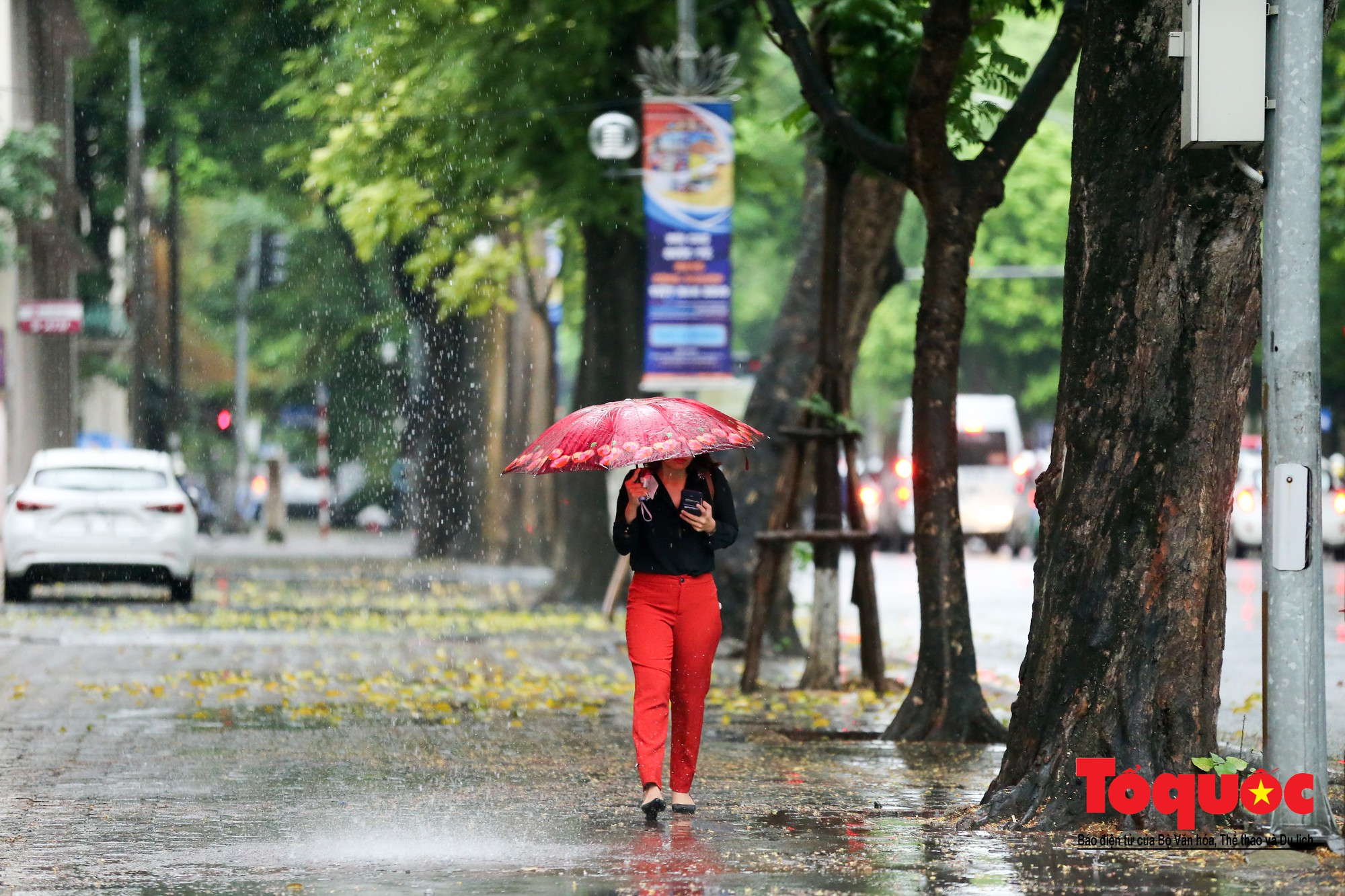 Cơn mưa lớn bất trợt khiến không khí ở thủ đô Hà Nội giảm bụi ô nhiễm nhanh chóng9 Cơn mưa lớn bất trợt khiến không khí ở thủ đô Hà Nội giảm bụi ô nhiễm nhanh chóng9