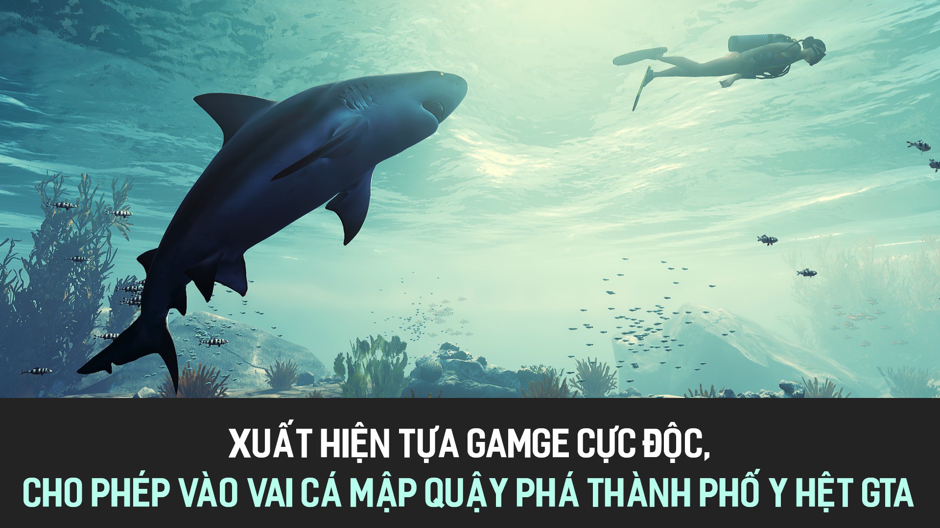 Xuất hiện tựa gamge cực độc, cho phép vào vai cá mập quậy phá thành phố y hệt GTA