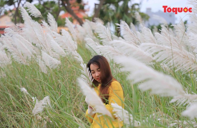 Mê mẩn mùa lau trắng ở Đà Nẵng  - Ảnh 7.