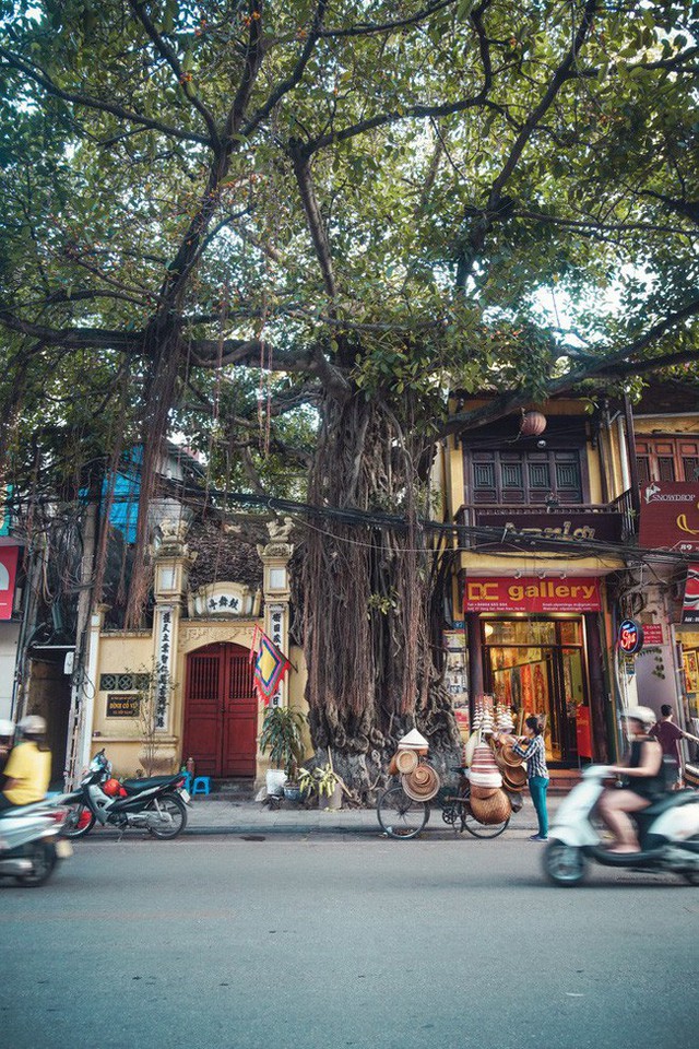 Việt Nam được tạp chí Forbes bình chọn là 1 trong 14 điểm đến của năm 2019 - Ảnh 2.