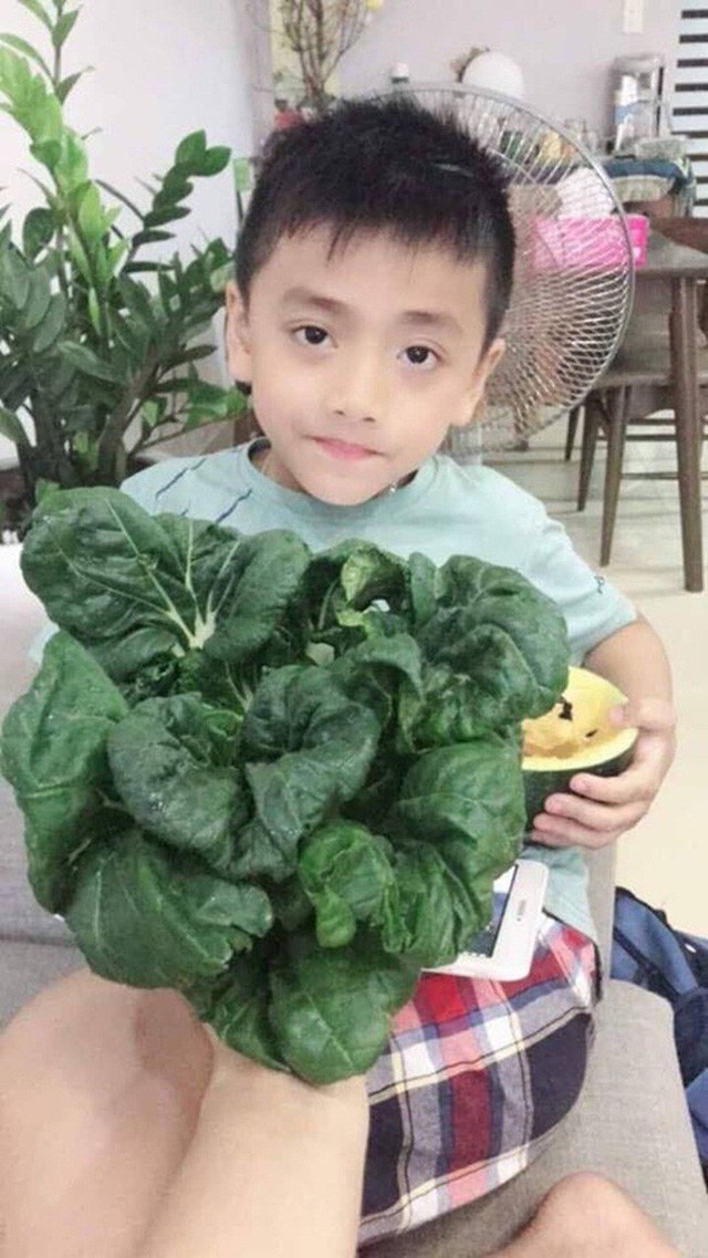 Bất ngờ với mô hình trồng rau thả cá trong căn biệt thự trị giá đến 1 triệu USD của ca sĩ Quách Thành Danh - Ảnh 15. Bất ngờ với mô hình trồng rau thả cá trong căn biệt thự trị giá đến 1 triệu USD của ca sĩ Quách Thành Danh - Ảnh 15.