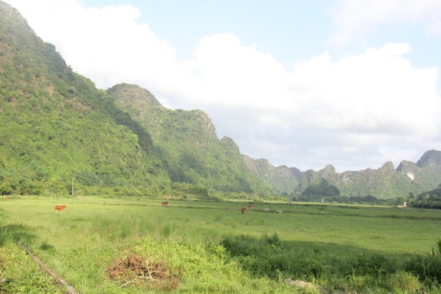 Làng Việt Hải: Chốn dừng chân thú vị trong hành trình khám phá di sản Hạ Long - Ảnh 7.