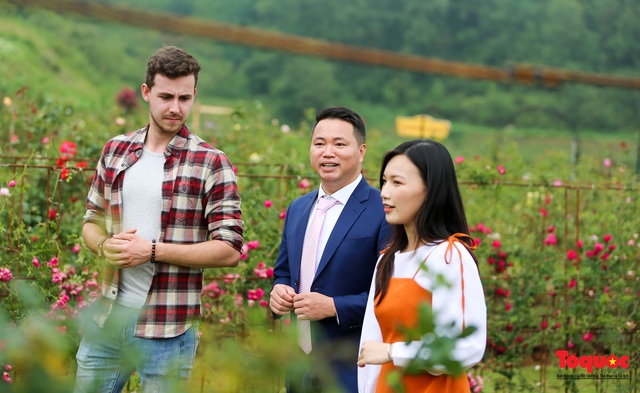 Ngắm thung lũng hoa hồng tuyệt đẹp nhận kỷ lục lớn nhất Việt Nam - Ảnh 4.