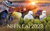 Bức tranh kinh tế Việt Nam 2023: Gồng mình chống chọi "bão suy thoái" toàn cầu, vượt "gió ngược" tạo điểm sáng với nhiều mặt hàng xuất khẩu tỷ đô