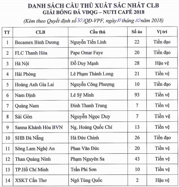 Đội hình tiêu biểu V-League 2018: Hà Nội FC vẫn áp đảo - Ảnh 3.