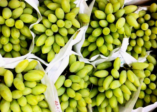 Thị trường Việt Nam xuất hiện nho ngón tay vàng Nhật Bản có giá cắt cổ - Ảnh 1. Thị trường Việt Nam xuất hiện nho ngón tay vàng Nhật Bản có giá cắt cổ - Ảnh 1.