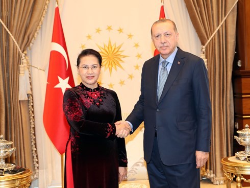 Chủ tịch Quốc hội Nguyễn Thị Kim Ngân tiếp kiến Tổng thống Thổ Nhĩ Kỳ - Ảnh 1.