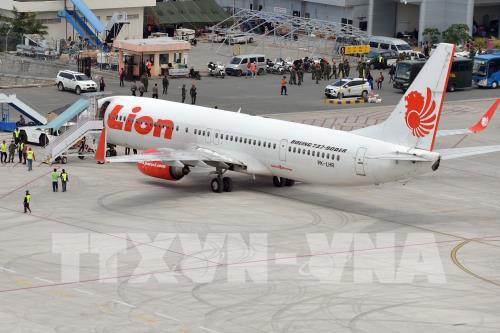 Không có hành khách người Việt trên chuyến bay xấu số rơi ở Indonesia - Ảnh 1.