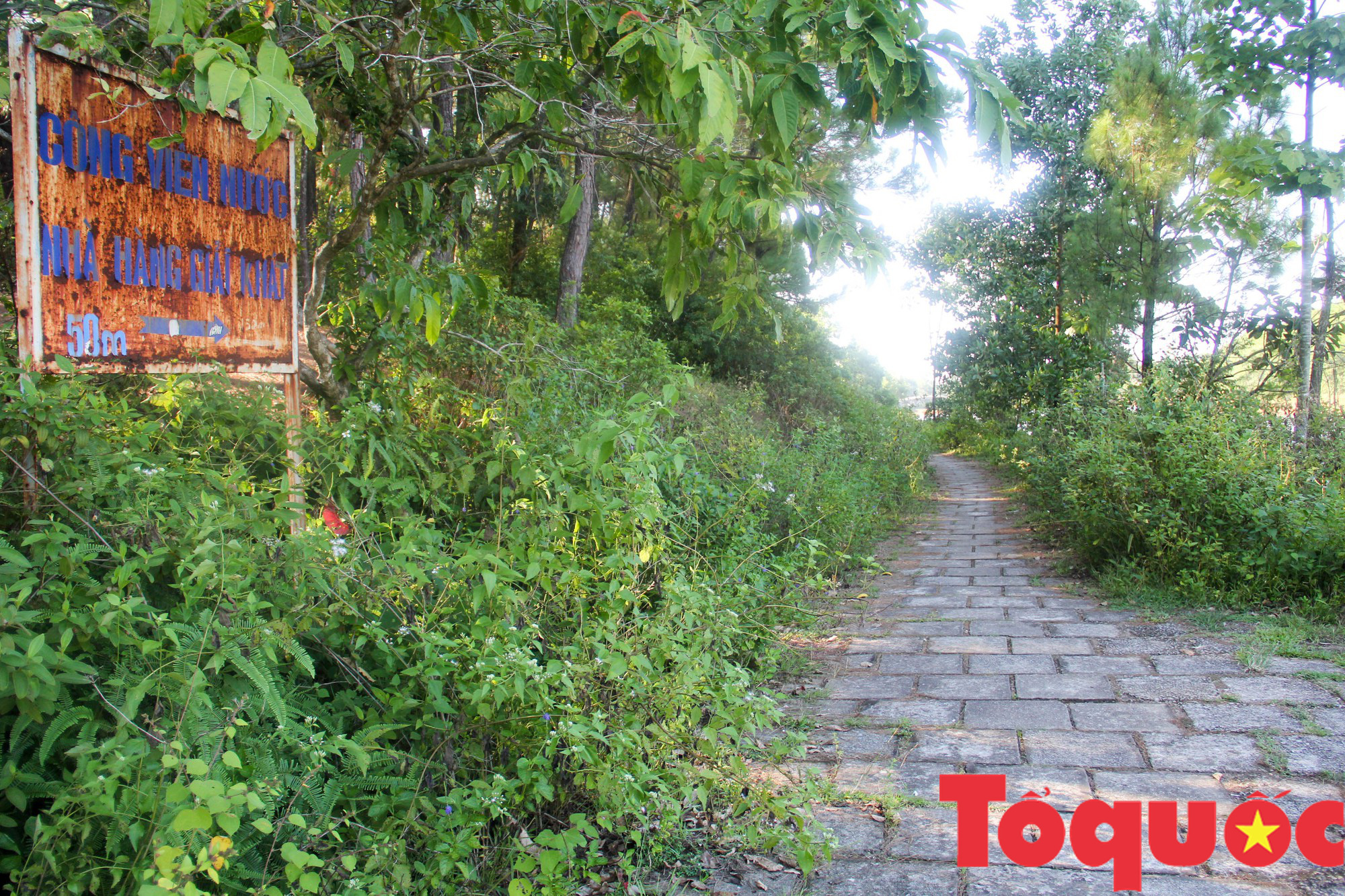 Công viên nước kinh dị ở Huế: đóng cửa, bỏ hoang vẫn hút khách - Ảnh 5.