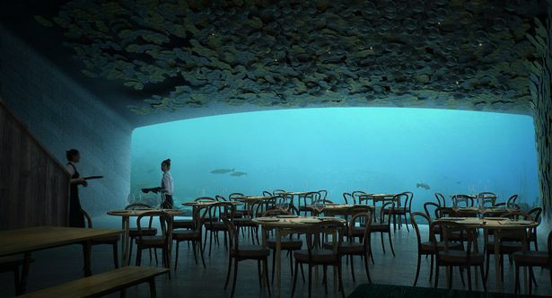 Nhà hàng dưới nước lớn nhất thế giới đã được đặt chỗ kín đến tận mùa hè sang năm dù… chưa mở cửa - Ảnh 1.