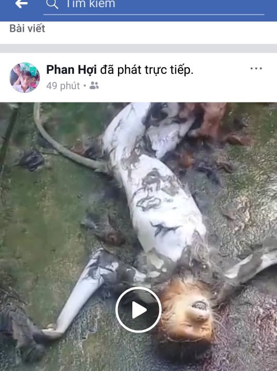 Phẫn nộ nhóm người giết khỉ ăn óc sống rồi đăng lên Facebook - Ảnh 1.