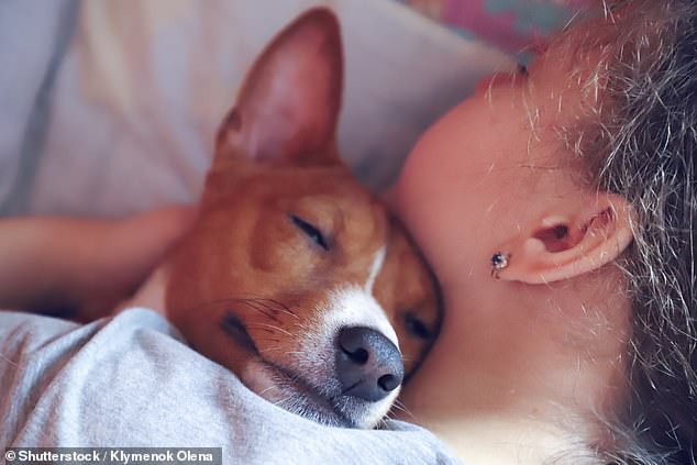 Phụ nữ mắc chứng khó ngủ? Bạn giường là chó thích hợp hơn chồng hoặc mèo - Ảnh 1.