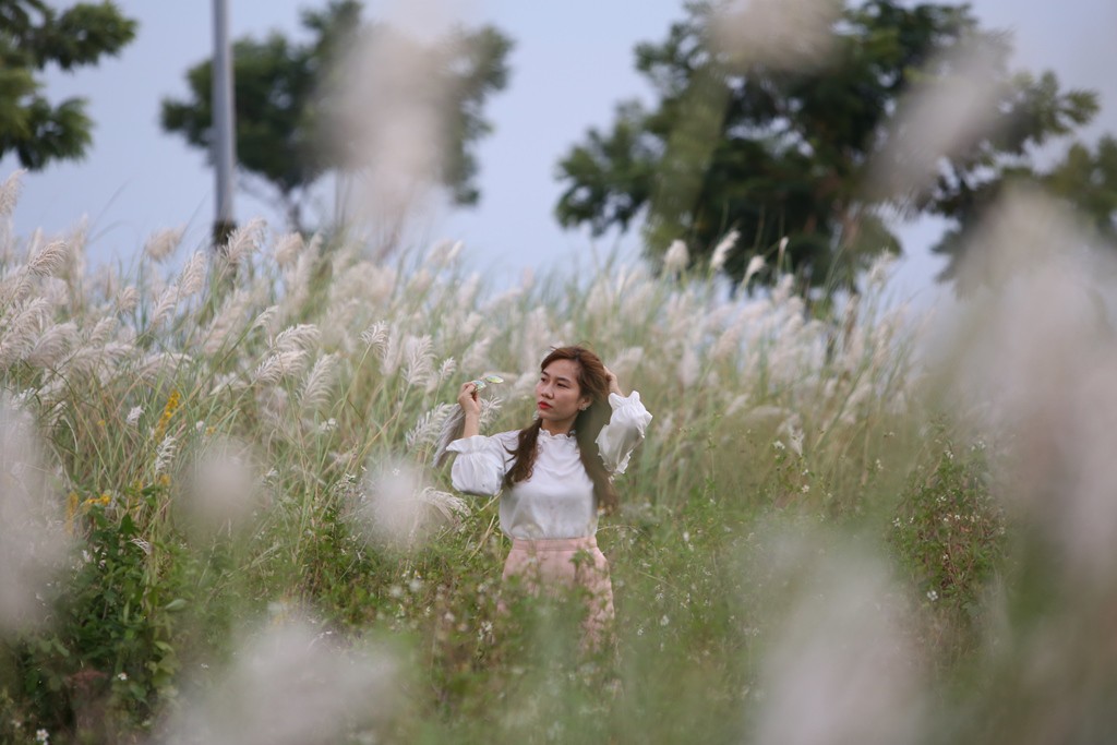 Đẹp nao lòng bên hoa lau trắng nở rợp trời Đà Nẵng - Ảnh 12. Đẹp nao lòng bên hoa lau trắng nở rợp trời Đà Nẵng - Ảnh 12.