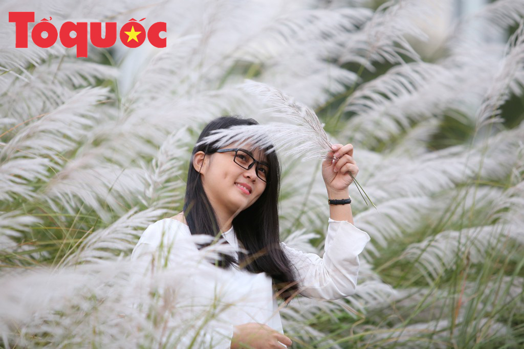 Đẹp nao lòng bên hoa lau trắng nở rợp trời Đà Nẵng - Ảnh 9. Đẹp nao lòng bên hoa lau trắng nở rợp trời Đà Nẵng - Ảnh 9.