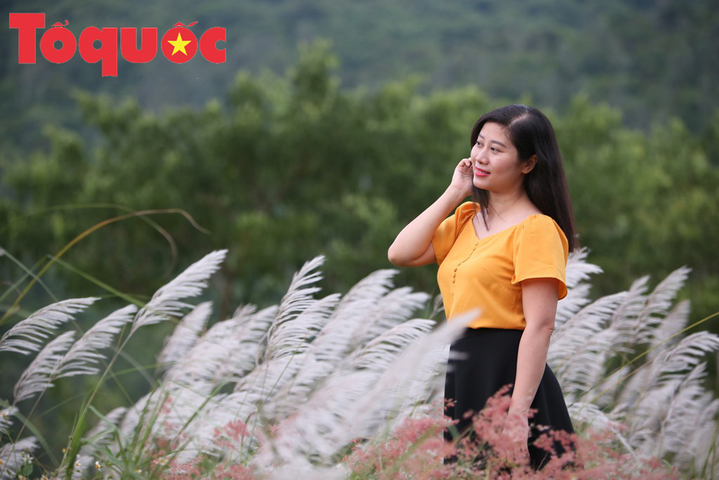 Đẹp nao lòng bên hoa lau trắng nở rợp trời Đà Nẵng - Ảnh 10. Đẹp nao lòng bên hoa lau trắng nở rợp trời Đà Nẵng - Ảnh 10.