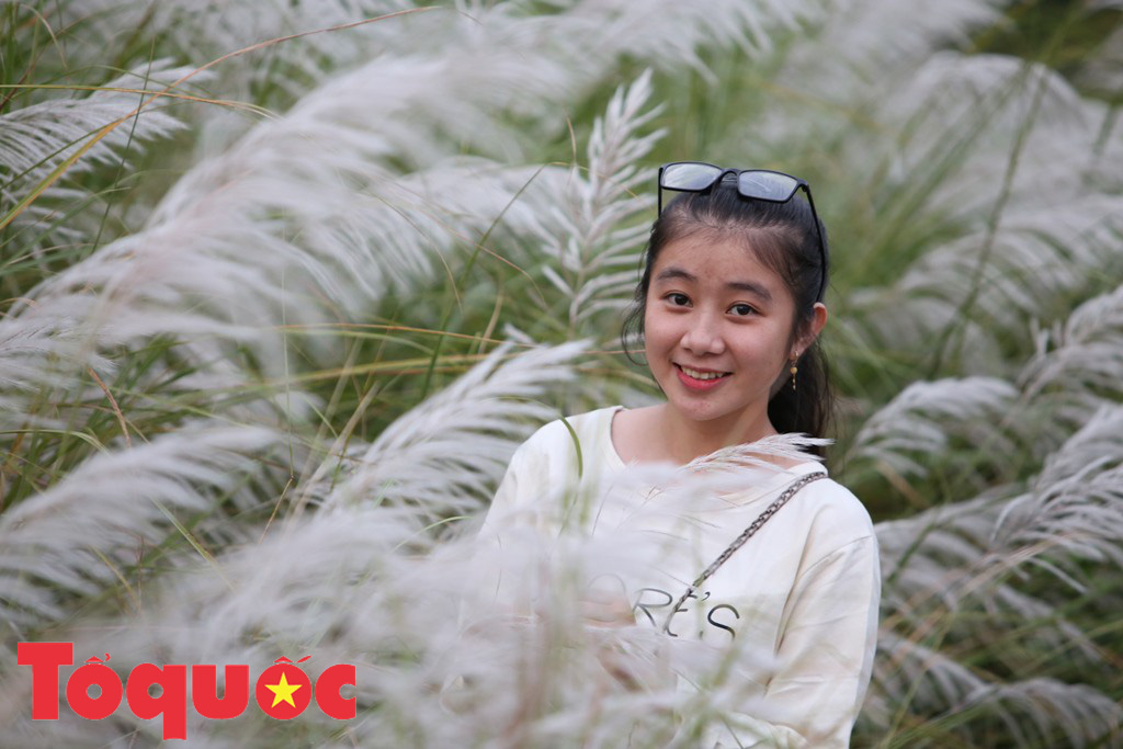 Đẹp nao lòng bên hoa lau trắng nở rợp trời Đà Nẵng - Ảnh 11. Đẹp nao lòng bên hoa lau trắng nở rợp trời Đà Nẵng - Ảnh 11.