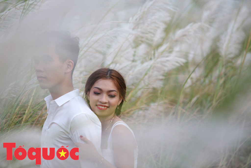 Đẹp nao lòng bên hoa lau trắng nở rợp trời Đà Nẵng - Ảnh 13. Đẹp nao lòng bên hoa lau trắng nở rợp trời Đà Nẵng - Ảnh 13.