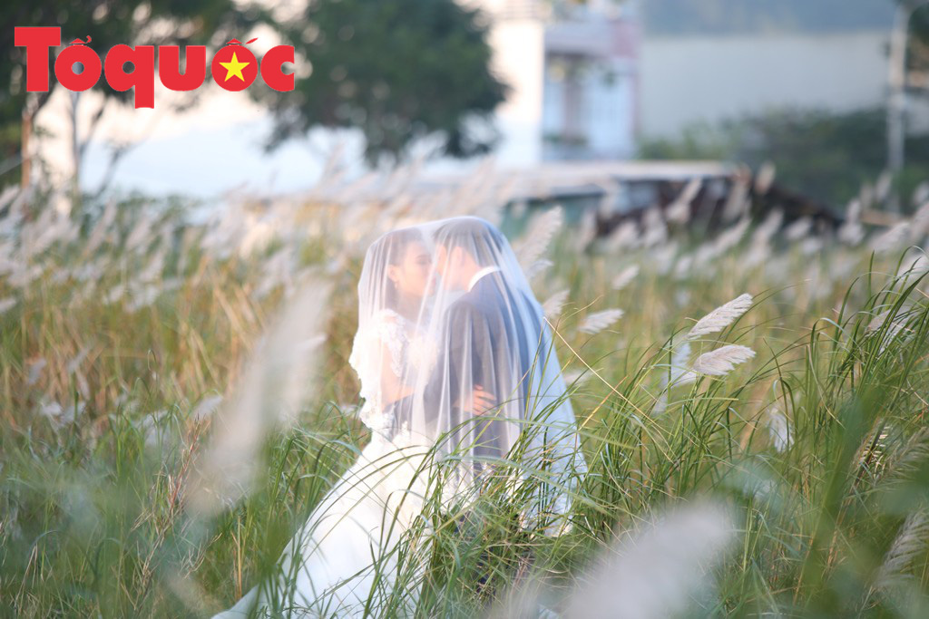 Đẹp nao lòng bên hoa lau trắng nở rợp trời Đà Nẵng - Ảnh 14. Đẹp nao lòng bên hoa lau trắng nở rợp trời Đà Nẵng - Ảnh 14.