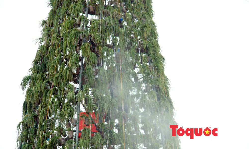 Nghệ An: Độc đáo cây thông Giáng sinh làm từ 8.000 giỏ hành tăm - Ảnh 2.