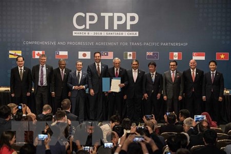 Hiệp định Đối tác Toàn diện và Tiến bộ xuyên Thái Bình Dương (CPTPP) chính thức có hiệu lực - Ảnh 1.
