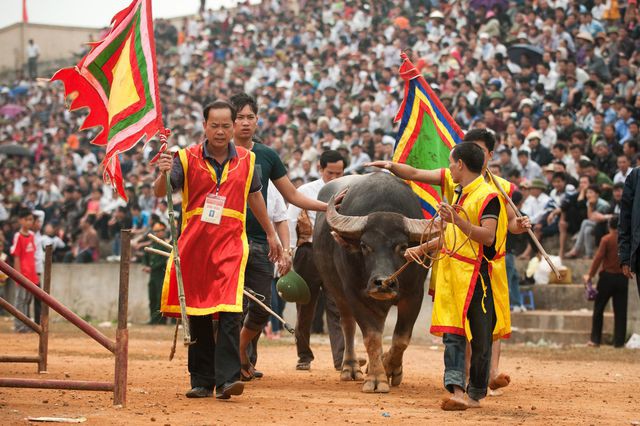 Không chấp thuận tổ chức lễ hội thực hiện nghi lễ có tính bạo lực, phản cảm - Ảnh 3.