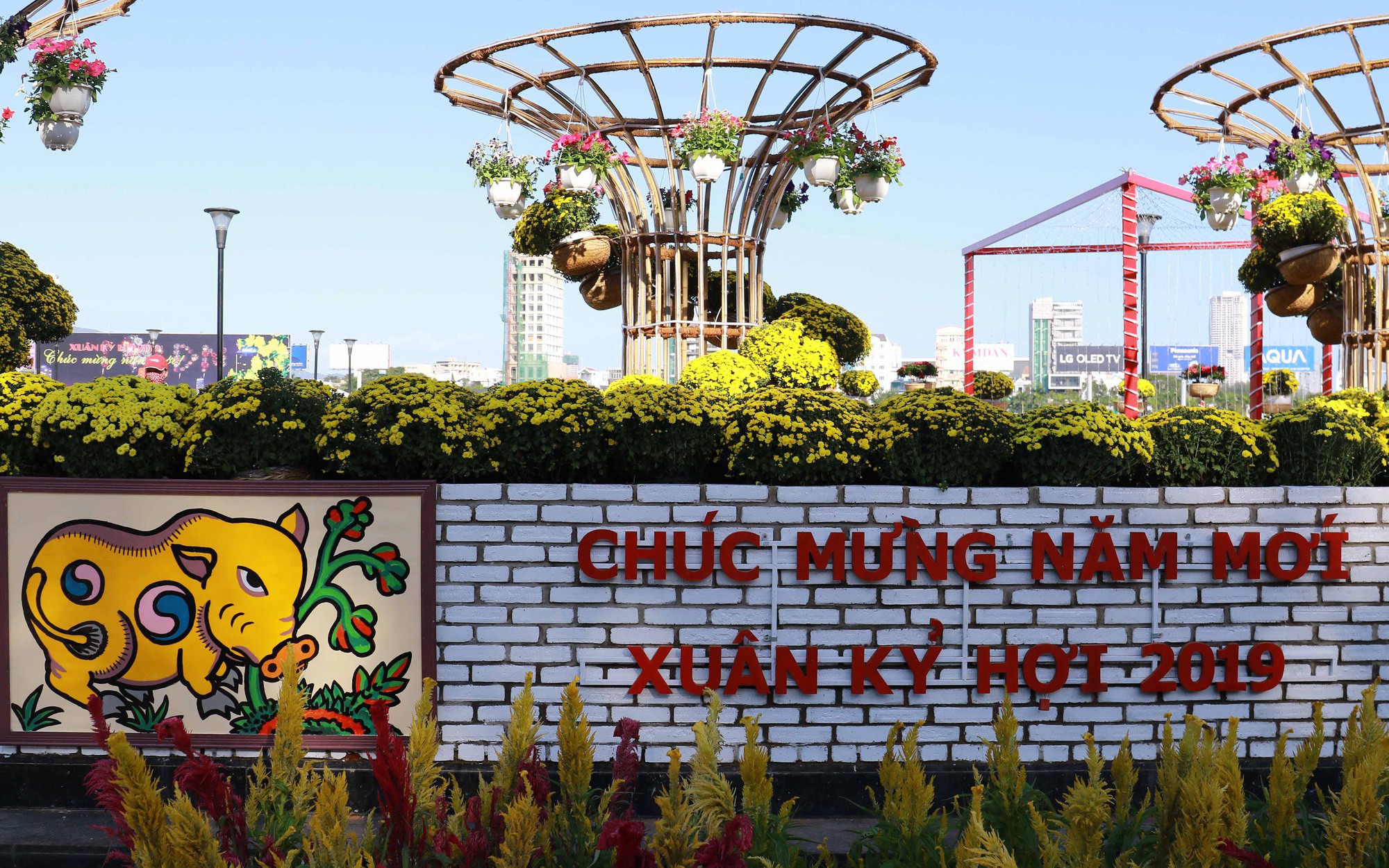Lễ hội hoa xuân độc đáo “Heo vàng gõ cửa” diễn ra ở Đà Nẵng