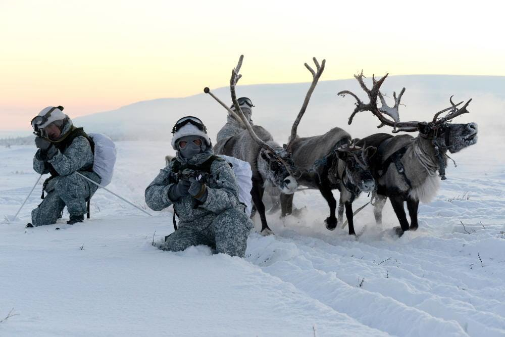 Russian-Special-Forces-with-reindeer-sleds