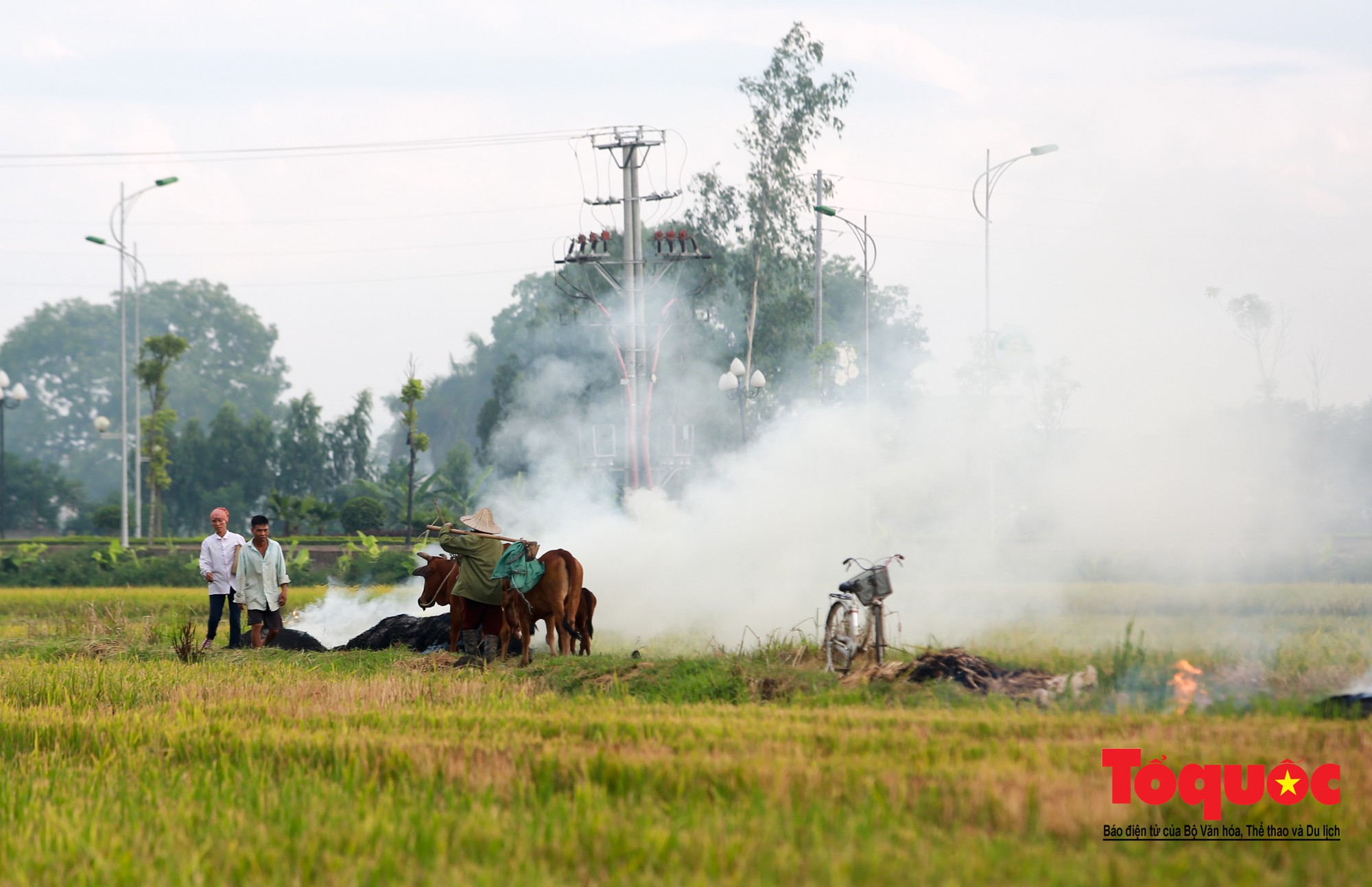 Nông dân ngoại thành vô tình khiến nội thành Hà Nội có một lớp sương mờ12