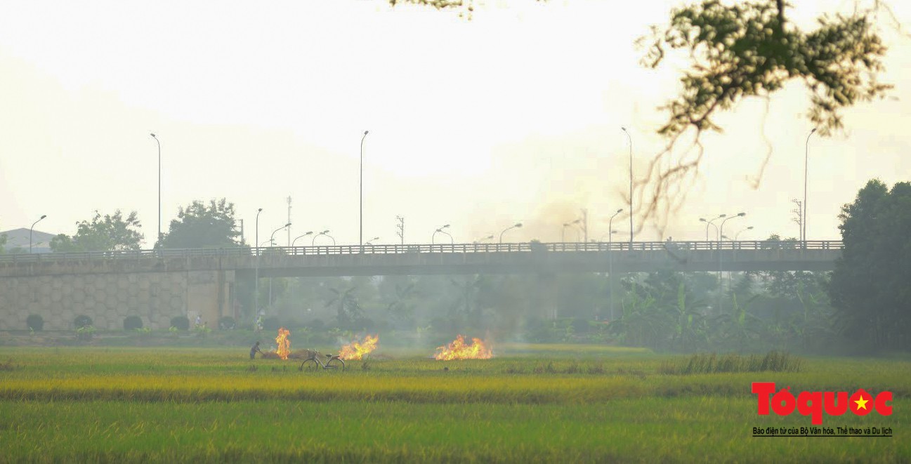 Nông dân ngoại thành vô tình khiến nội thành Hà Nội có một lớp sương mờ5