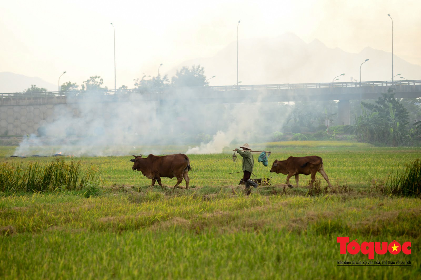 Nông dân ngoại thành vô tình khiến nội thành Hà Nội có một lớp sương mờ6