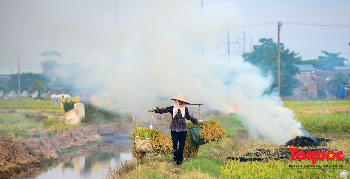 Nông dân ngoại thành vô tình khiến nội thành Hà Nội có một lớp sương mờ8