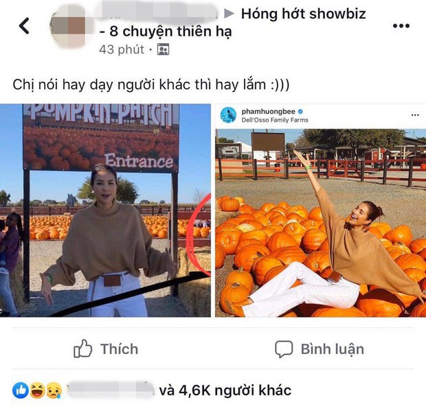 Phạm Hương bị chỉ trích vì ngang nhiên ngồi lên bí ngô sống ảo mừng Halloween ngay khu vực để biển cấm - Ảnh 1.