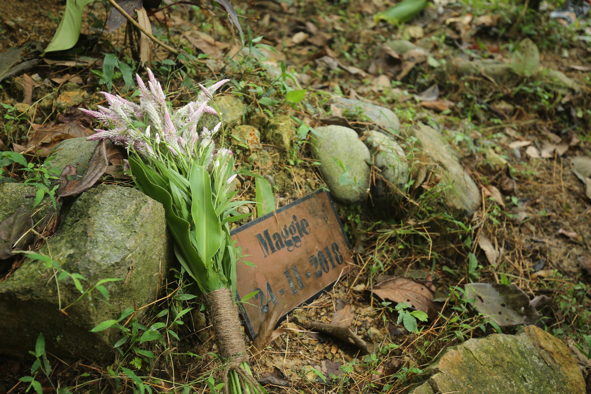 NAM_4819 NAM_4819