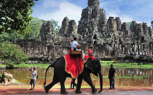 Sau làn sóng phẫn nộ từ dư luận, Campuchia cấm hẳn dịch vụ cưỡi voi ở đền Angkor Wat - Ảnh 1.