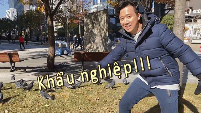 Trấn Thành hớn hở vì phát hiện ra đàn bồ câu béo ú tại Hàn Quốc: đồng cảm hay sao mà thích thú thế anh Thành ơi - Ảnh 5.