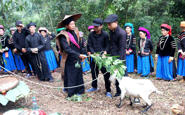 Tái hiện Lễ cúng thần rừng của dân tộc Pu Péo (Hà Giang)