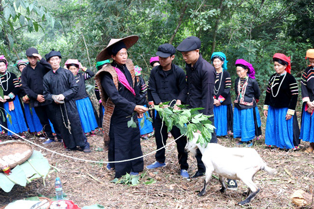 Tái hiện Lễ cúng thần rừng của dân tộc Pu Péo (Hà Giang) - Ảnh 1.