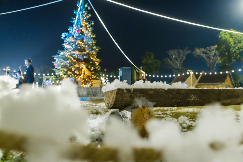 Đón tuyết rơi mùa Giáng sinh ngay giữa thủ đô với nghệ sĩ Xuân Bắc - Ảnh 6.