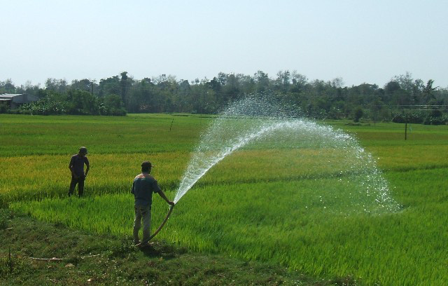 Đảm bảo cấp nước cho sản xuất, sinh hoạt của người dân - Ảnh 1.