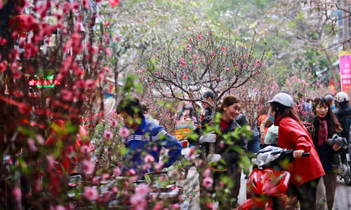 Chợ hoa xuân Hà Nội là một trong những địa điểm tuyệt vời để cảm nhận không khí Tết đang đến rất gần. Hãy đến đây để được ngắm nhìn hàng ngàn loại hoa khác nhau, tràn ngập màu sắc và hương thơm. Hãy thư giãn và tận hưởng không gian Tết tràn ngập hoa vàng, ánh đỏ.