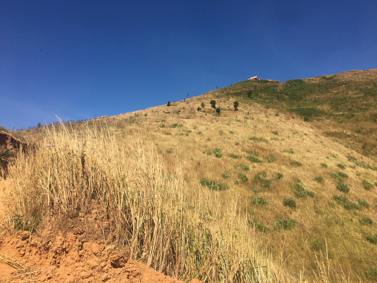 Đã 47 năm trôi qua, nhưng điểm cao 1015 cây cối vẫn chưa mọc được vì ảnh hưởng chất độc dioxin. Đã 47 năm trôi qua, nhưng điểm cao 1015 cây cối vẫn chưa mọc được vì ảnh hưởng chất độc dioxin.