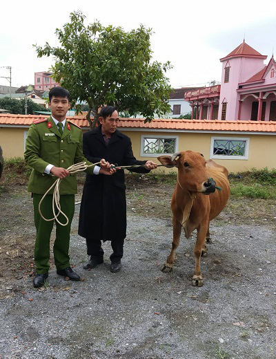 Quảng Bình: Bắt nhóm đối tượng trộm trâu, bò trên địa bàn - Ảnh 3.