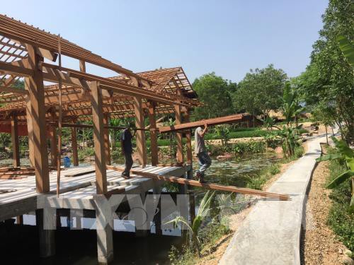 Quảng Nam: Tháo dỡ khu nghỉ dưỡng trái phép trong rừng phòng hộ Trà Lý - Ảnh 1.