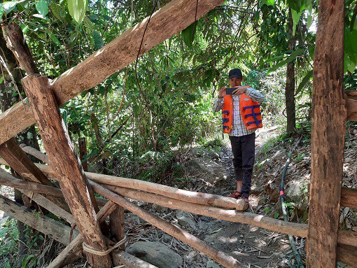 Hàng chục cây gỗ chuồn bị đốn hạ ở rừng phòng hộ Sông Tranh, Ban Quản lý rừng chỉ bị...kiểm điểm  - Ảnh 7.