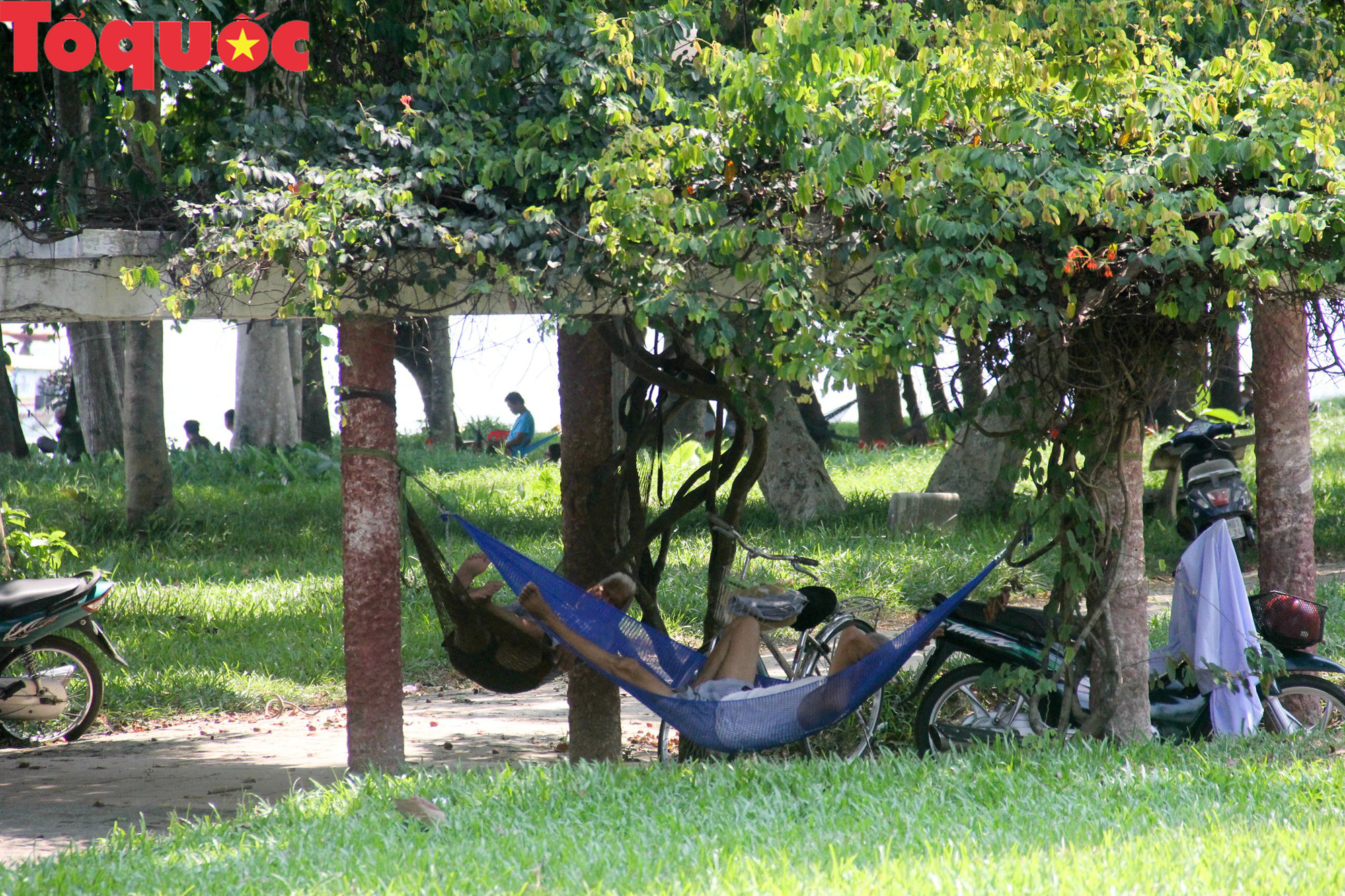 Du khách thích thú, người dân chật vật đối phó nắng nóng đầu hè ở Huế - Ảnh 11.