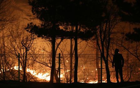 Toàn cảnh nước rút chữa cháy rừng dữ dội Hàn Quốc - Ảnh 2.