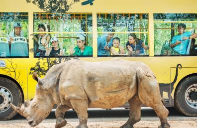 Tê giác con đầu tiên chào đời tại Vinpearl Safari Phú Quốc - Ảnh 5. Tê giác con đầu tiên chào đời tại Vinpearl Safari Phú Quốc - Ảnh 5.