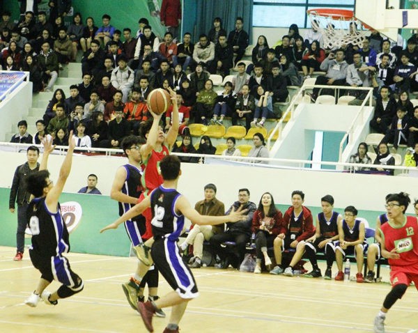 Tổ chức Giải bóng rổ U17, U19 quốc gia tại tỉnh Bình Thuận - Ảnh 1.