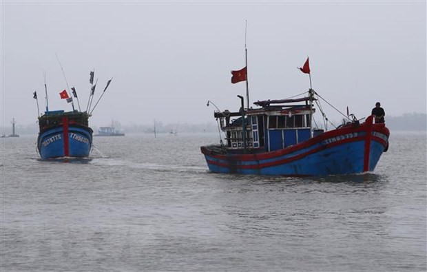 Việt Nam kiên quyết phản đối các tàu công vụ Trung Quốc xua đuổi, tịch thu tàu cá Việt Nam tại Hoàng Sa - Ảnh 1.